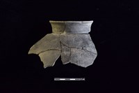 藏品(陶罐)的圖片